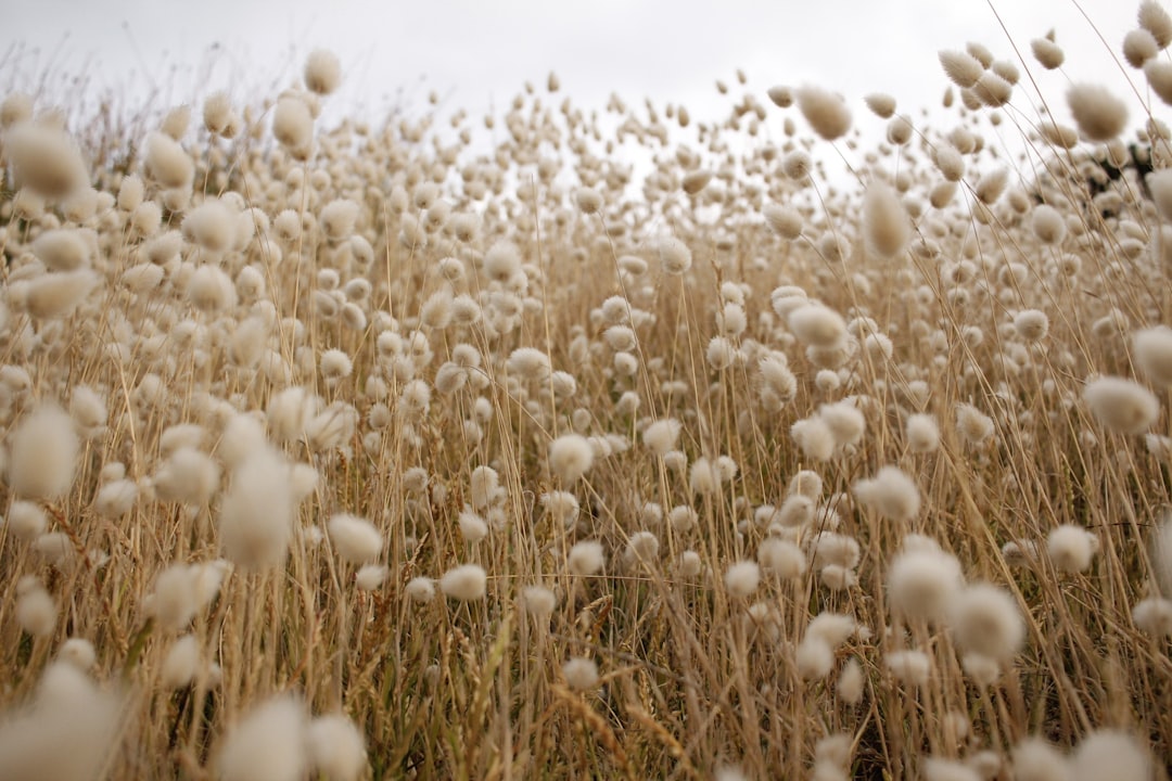 The Benefits of Organic Fabrics in Kids' Clothing